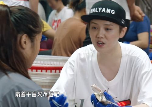  跑男后,五哈鹿晗邓超陈赫铁三角再合体,打工人生活被朋友圈转疯