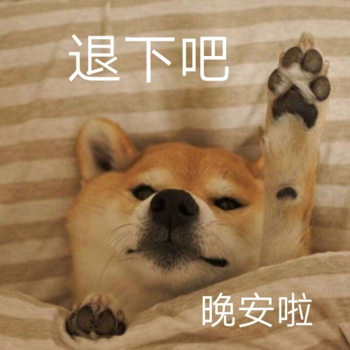  大懒x小懒的相册哈哈哈表情包