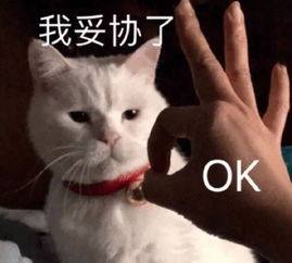 14组明星胖瘦对比大曝光最后一位简直了
