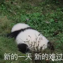 川传青年说把室友拿出来晒晒 川传青年说把室友拿出来晒晒