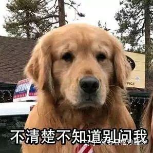 万能回复图表情包可爱