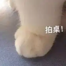 萌萌哒猫爪表情包 萌萌哒猫爪表情包