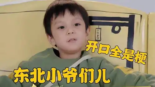  爸爸当家3东北小孩哥开口全是梗,可爱程度堪比马立奥
