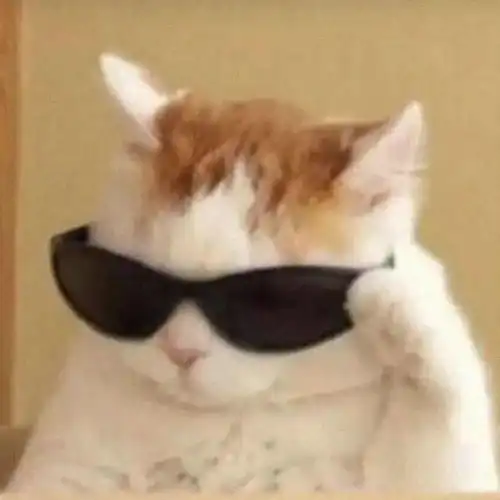 今日头像丨喜出望外的傍晚 今日头像丨喜出望外的傍晚