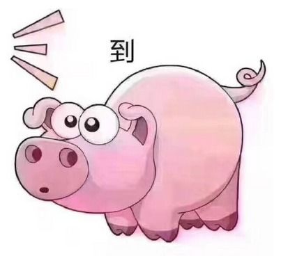 粉红色的猪表情包手机壁
