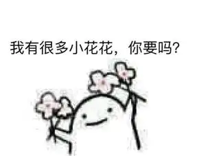  我有很多小花花你要吗