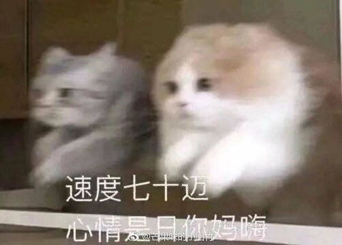  求建议