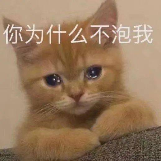 沙雕表情没有困难的工作,只有勇敢的打工人 沙雕表情没有困难的工作,只有勇敢的打工人