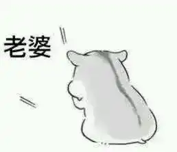 求仓鼠哄老婆表情包,及这张小仓鼠表情原图 求仓鼠哄老婆表情包,及这张小仓鼠表情原图