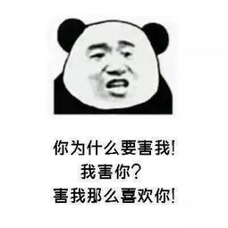 在不在套路表情包土味情