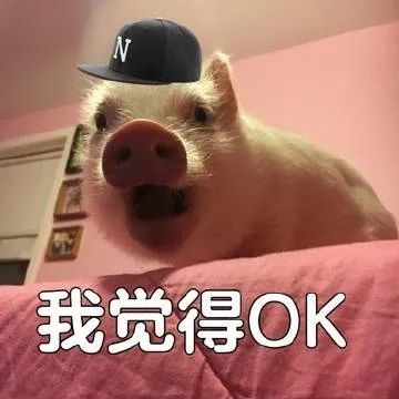  表情包交出你的心来