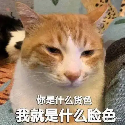 可爱表情包可爱又撩人的表情包可爱到爆的表情包图片感觉我们的关系变淡了需要一杯奶茶甜回来 可爱表情包可爱又撩人的表情包可爱到爆的表情包图片感觉我们的关系变淡了需要一杯奶茶甜回来