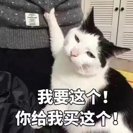 猫咪呕吐表情包大合集