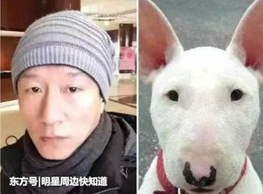  娱乐圈中撞脸动物表情的明星,网友王源的样子绝对会萌到你