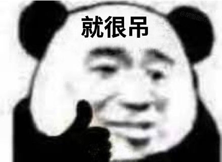 太真实了熊猫表情包电竞