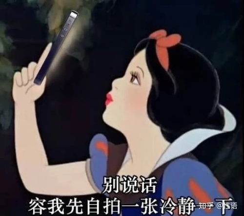 兰兰无话可说表情包剩女