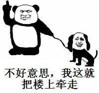  高级怼人表情包黄蜂歇在乌龟背,你敢伸头我敢锤