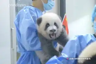 我一见你就笑,你那憨憨表情太美妙 我一见你就笑,你那憨憨表情太美妙