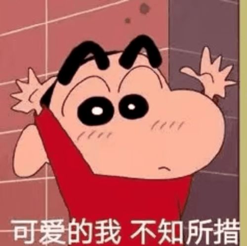  我知道我伸出手你不会跟我走