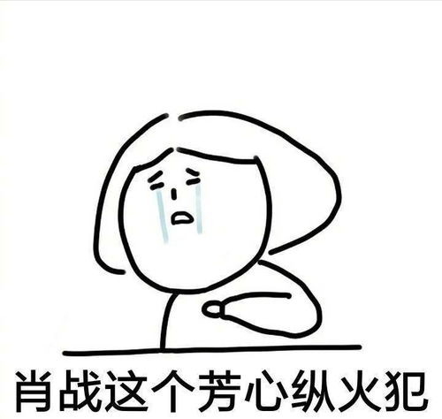  肖战表情包魏无羡陈情令蓝忘机
