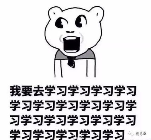 cp发糖表情包探班