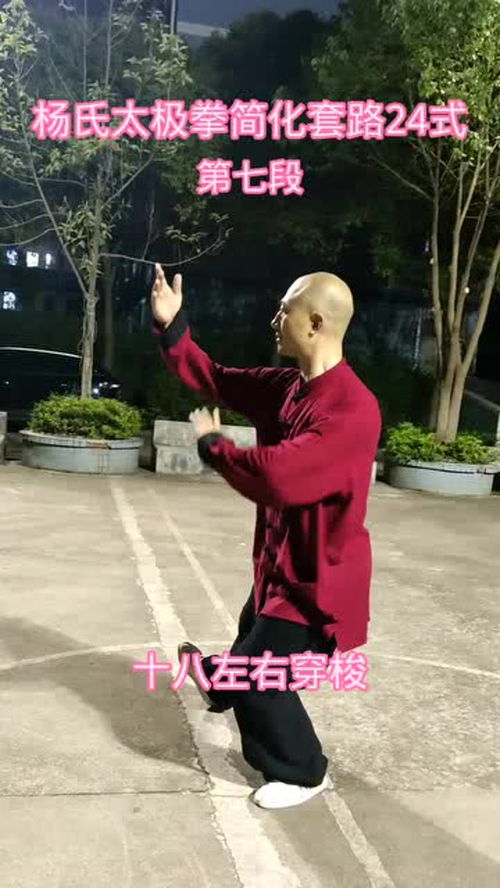  杨氏太极拳简化套路24式太极养生中华传统武术功夫