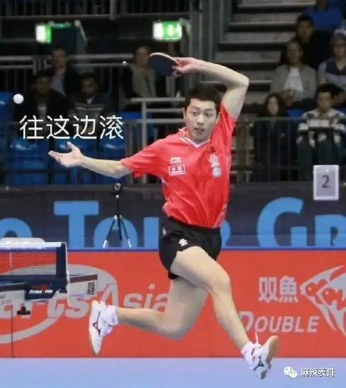  许昕,真欢乐喜剧人