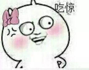  呆萌松鼠被狐狸追踪敲窗求助