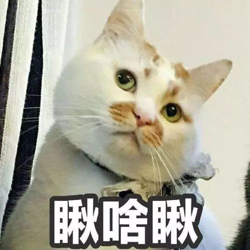  天津相声广播现在的有钱人,都不在银行存钱
