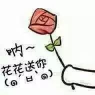 拿花表情包