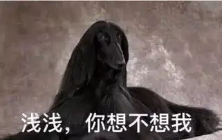  三生三世大结局这里有三生豪华表情包买夜华假发素素白绫的朋友是要干嘛
