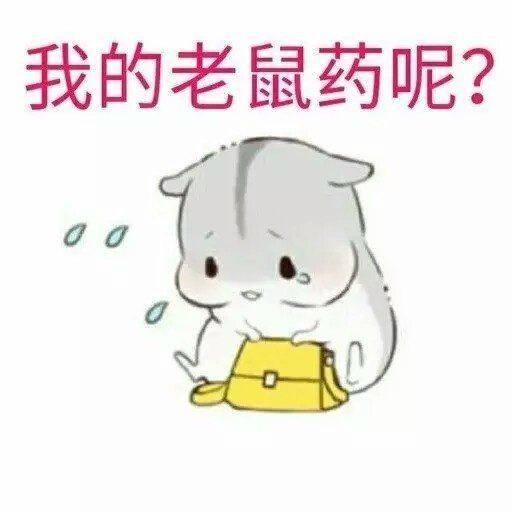  斗图丨仓鼠情侣表情包
