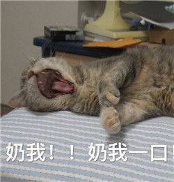  王者荣耀表情包图片下载王者荣耀动物表情包高清无水印极光下载站