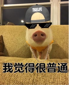  我觉得很普通表情包