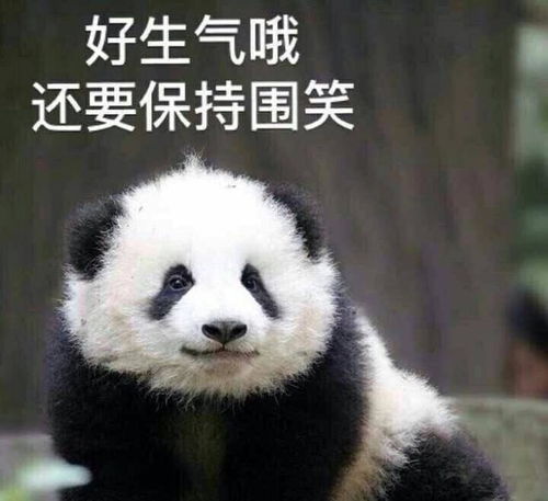  熟悉的雨又回到了陕西