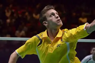 2011年全英羽毛球公开赛精彩图片4 2011年全英羽毛球公开赛精彩图片4