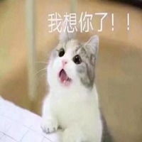  老婆找不到了表情包微信头像图片大全
