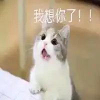 老婆找不到了表情包微信头像图片大全 老婆找不到了表情包微信头像图片大全