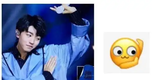  懒理被肖战拉下水质疑,王俊凯晒帅气照片撞脸柴犬表情包,引人爆笑
