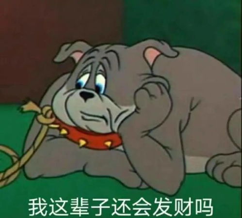  急缺800篇,日结,大量招
