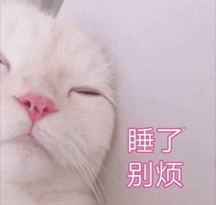  不费摧毁之力拿下比赛dwg,lck发文回怼g2老板麦哥的吐槽