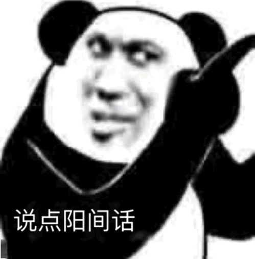  熊猫头表情包想当年我也是叱咤风云的拽姐