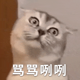 吴大友动态表情包表情包