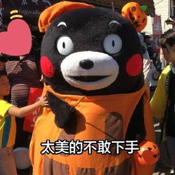  熊本熊带字表情包单身至今的原因