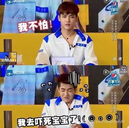 exo四子都掉真人秀这个大坑里,谁是综艺咖头牌