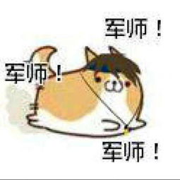  大概是表情包