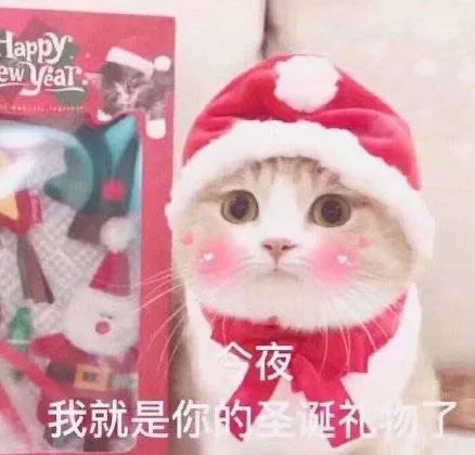  一年只卖两个月的巧克力到底有多好吃瑞士莲冰山巧克力重磅抢购