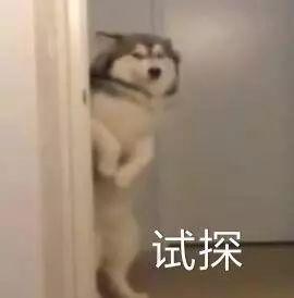  选手diss节目组整容失败花式绯闻以团之名还是炒作之名