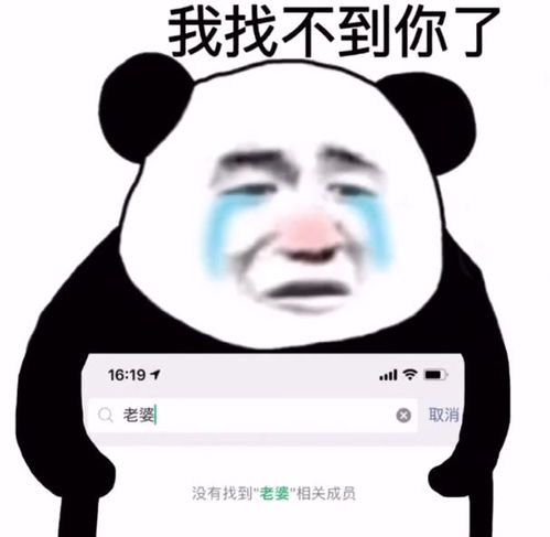  幽默搞笑表情包为什么不理我是想让我变成狗不理吗