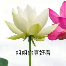 最怕身边有一个高段位心机婊,撕x都无从下手 最怕身边有一个高段位心机婊,撕x都无从下手